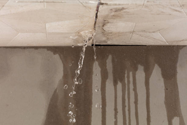 Professional Flood Damage Cleanup technician working in Westville, NJ